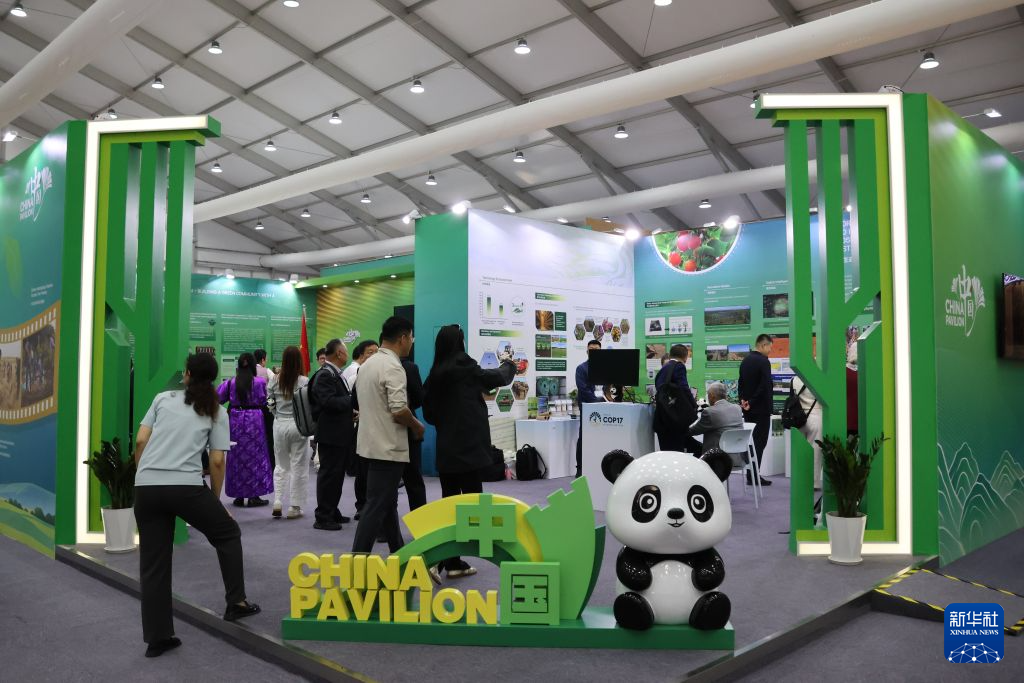 COP17“中国角”展示中国防沙治沙成效
