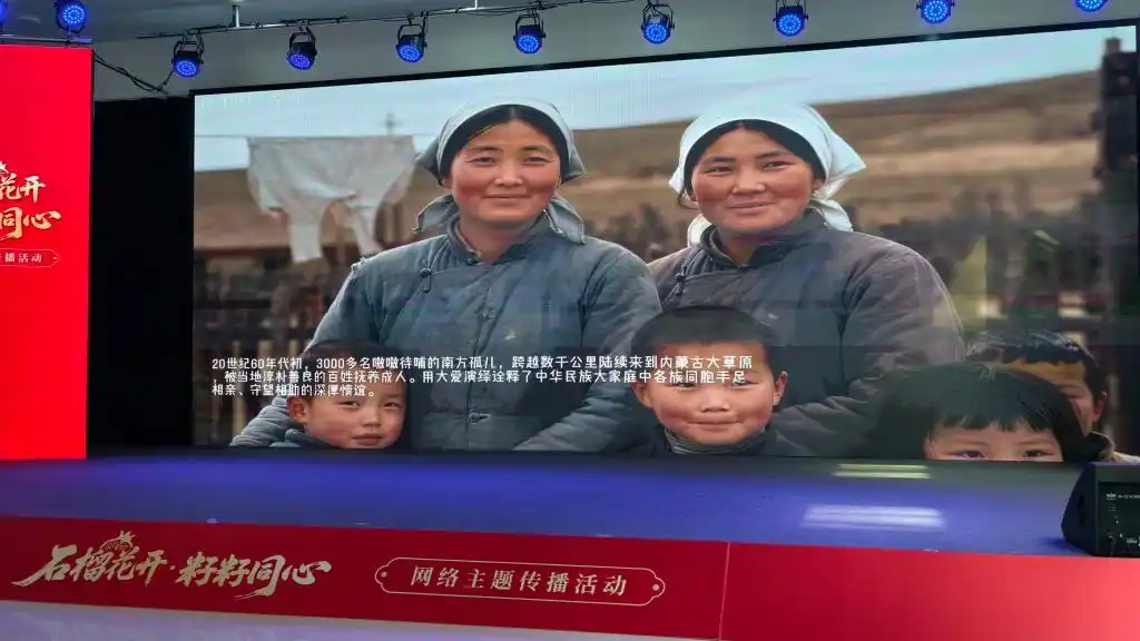 石榴花开,籽籽同心:三项网络主题活动在内蒙古正式启动
