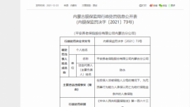 违规为无民事行为能力人承保 平安养老保险、阳光财险两家保险均被罚