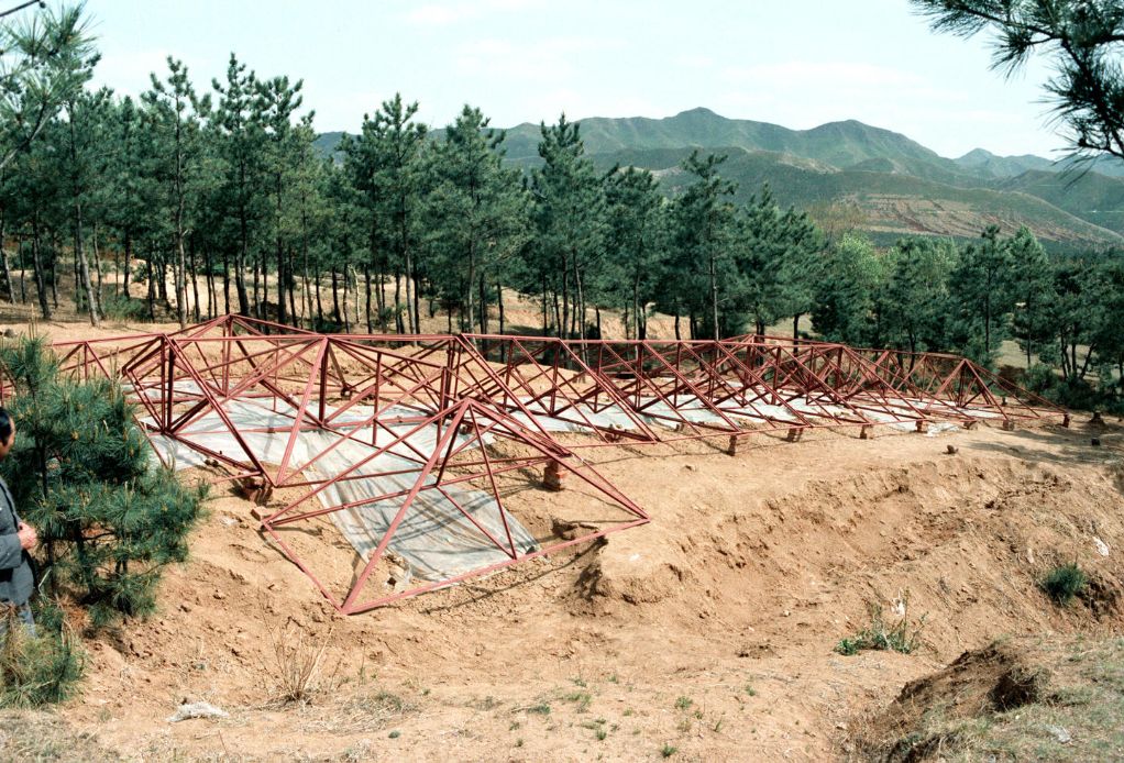 玉猪龙为啥这么“奇”——探寻红山文化出土的玉器