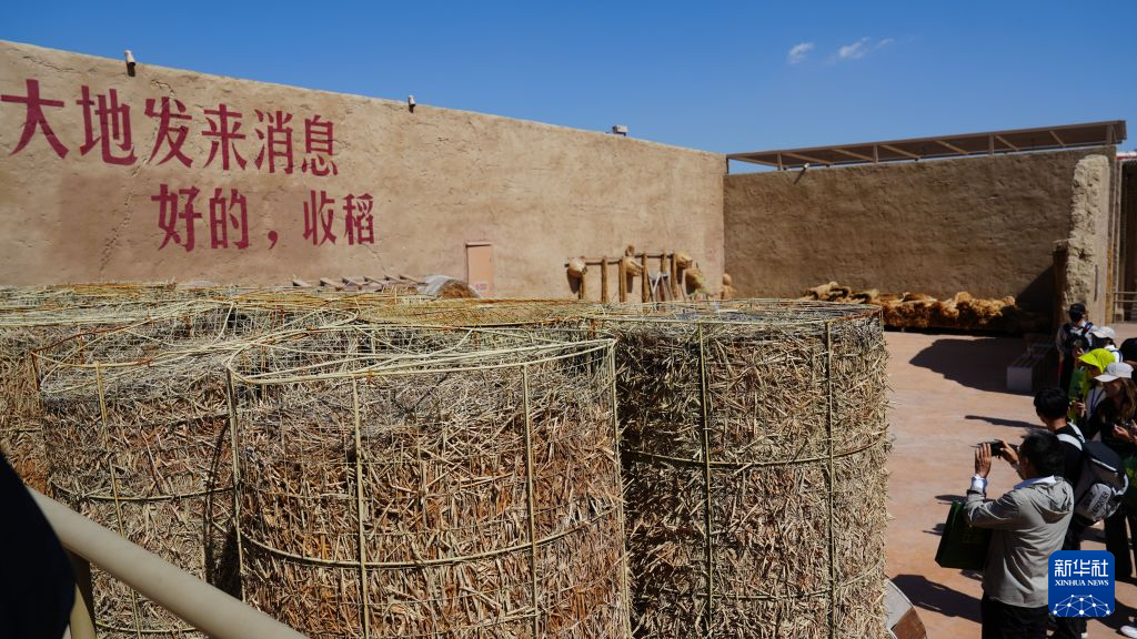 活力中国调研行丨看见闽宁·戏剧村落：山海情焕发新动能