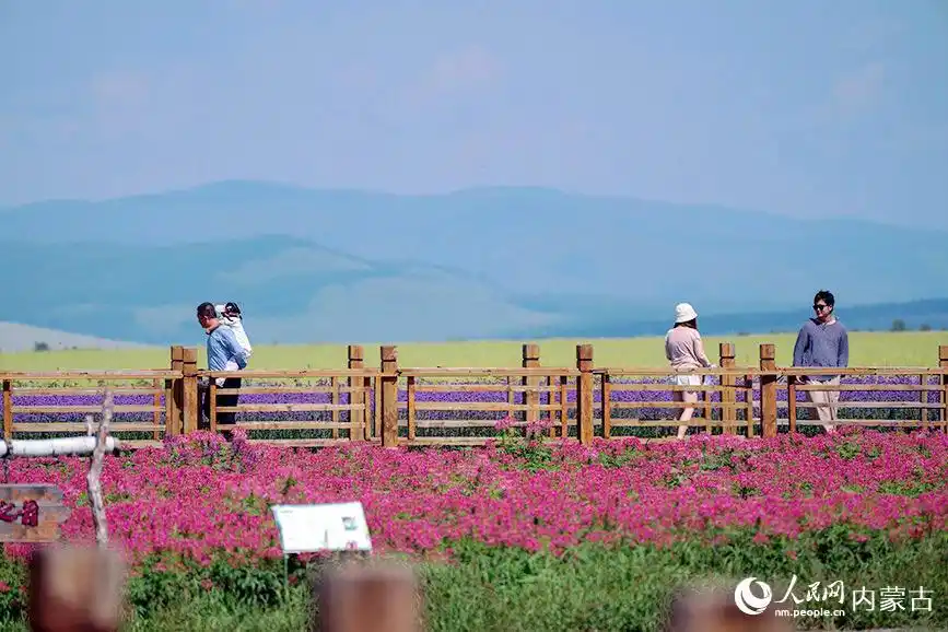 内蒙古呼伦贝尔：走进额尔古纳河畔的诗画庄园