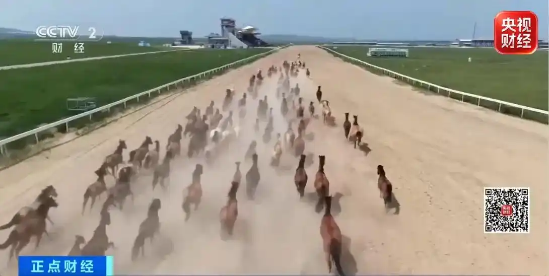 骏马奔腾！内蒙古以赛事聚客流，激活县域消费