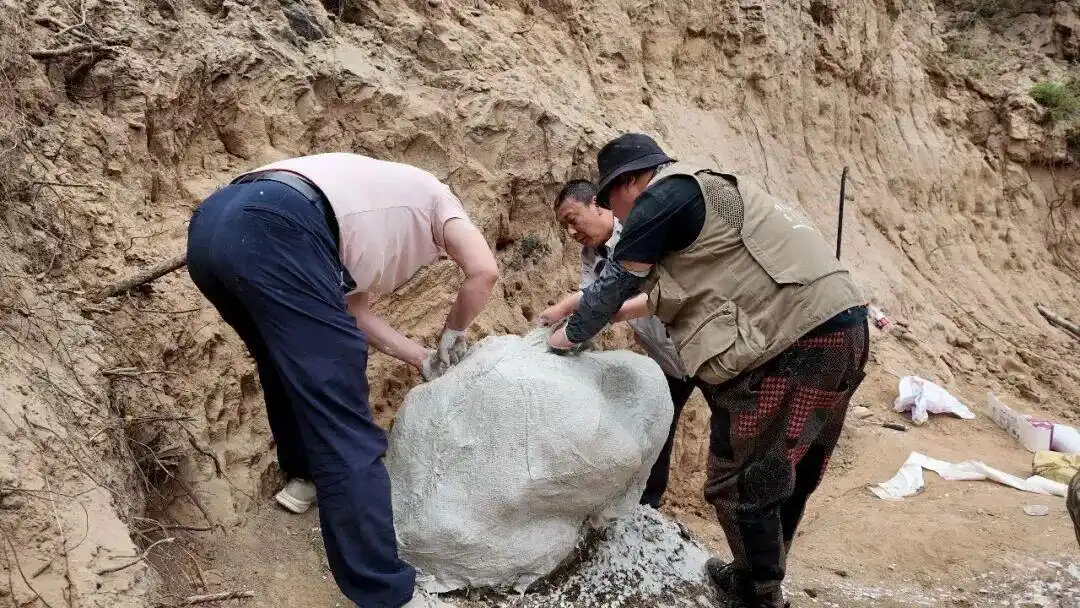 距今约20万年，内蒙古一地有重大发现