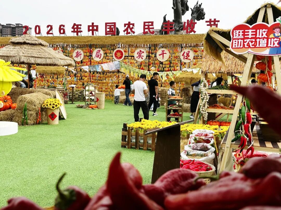 丰收节里助农忙！内蒙古达拉特旗驻村第一书记“组团”带货，本土好物“云”上飘香